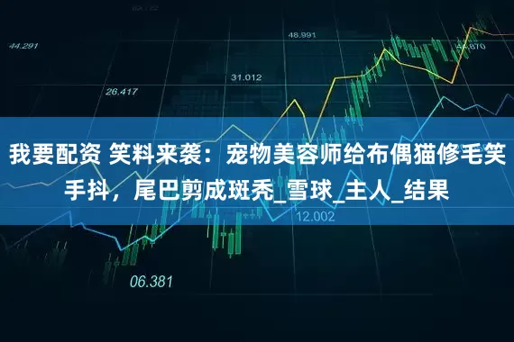 我要配资 笑料来袭：宠物美容师给布偶猫修毛笑手抖，尾巴剪成斑秃_雪球_主人_结果
